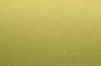Образец KYDM-026 Gold Titanium